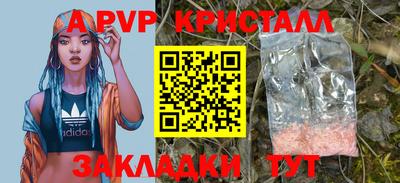 стаф Шелехов