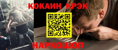 стаф Шелехов
