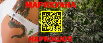 стаф Шелехов