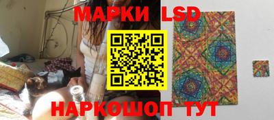 стаф Шелехов