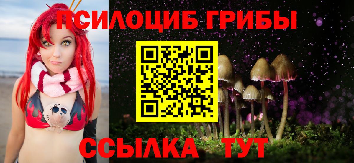 Псилоцибиновые грибы GOLDEN TEACHER Обнинск